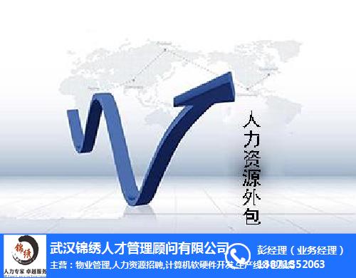 it外包服務(wù)合同模板.企業(yè)it服務(wù)合同_it外包市場分析及營銷模式探討_it技能外包
